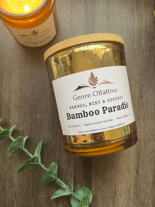 Bamboo Paradis